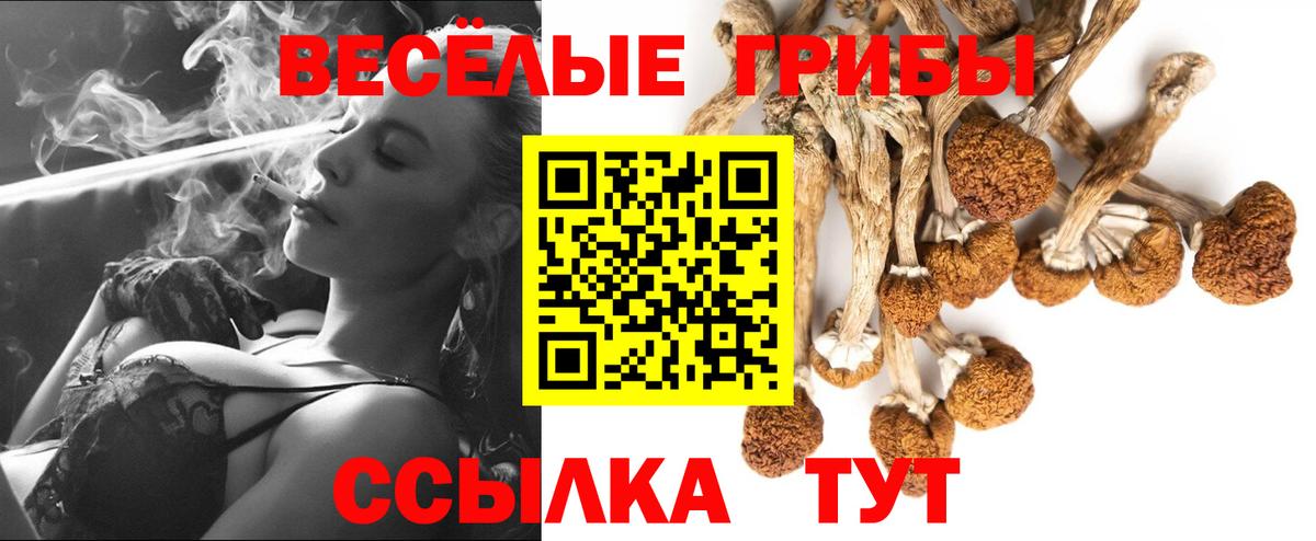 Псилоцибиновые грибы Psilocybine cubensis  Вход с VPN  Кингисепп 